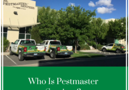 Who is Pestmaster Services