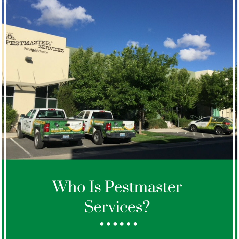 Who is Pestmaster Services
