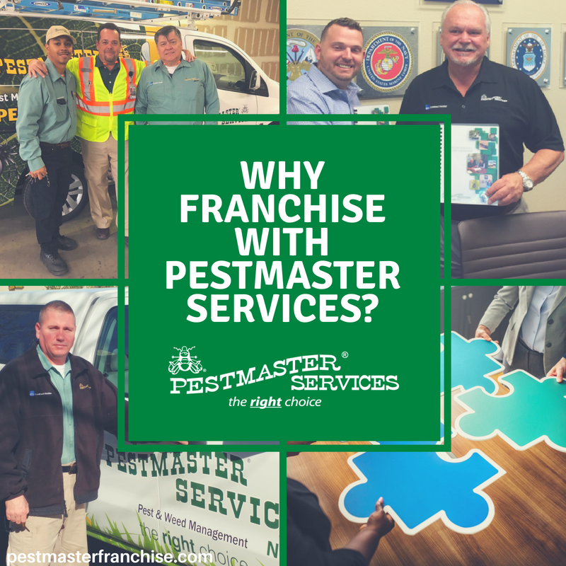 Nine Good Reasons Why You Should Franchise With Pestmaster Services