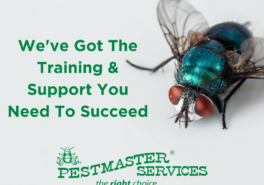 We've Got The Training & Support You Need To Succeed