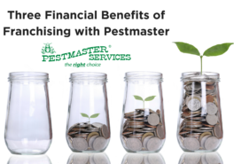 Three Financial Benefits of Franchising with Pestmaster