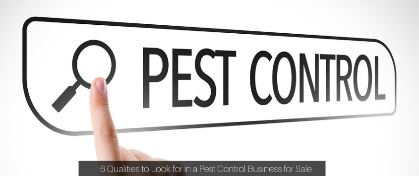 6 Qualities to Look for in a Pest Control Business for Sale