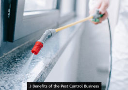 3 Benefits of the Pest Control Business
