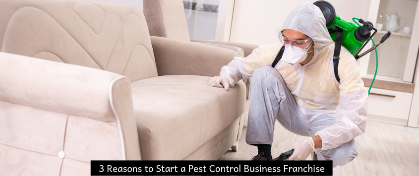 3 Reasons to Start a Pest Control Business Franchise