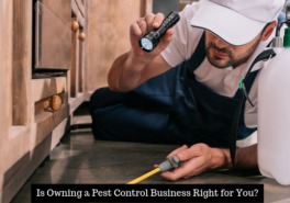 Is Owning a Pest Control Business Right for You?