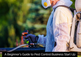 A Beginner’s Guide to Pest Control Business Start Up