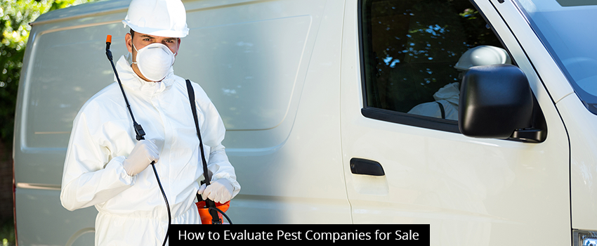 How to Evaluate Pest Companies for Sale