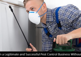 How to Open a Legitimate and Successful Pest Control Business Without Experience