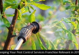 Keeping Your Pest Control Services Franchise Relevant in 2019