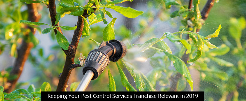 Keeping Your Pest Control Services Franchise Relevant in 2019