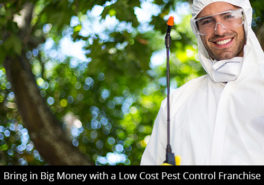 Bring in Big Money with a Low Cost Pest Control Franchise