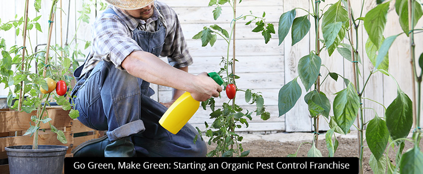 Go Green, Make Green: Starting an Organic Pest Control Franchise