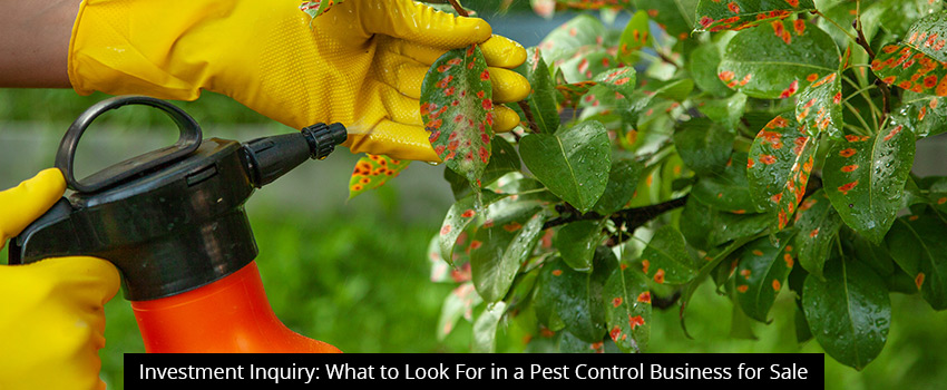 Investment Inquiry: What to Look For in a Pest Control Business for Sale