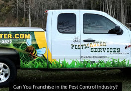 Can You Franchise in the Pest Control Industry?