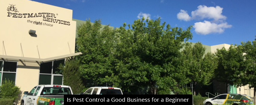Is Pest Control a Good Business for a Beginner?