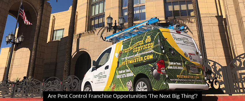 Are Pest Control Franchise Opportunities ‘The Next Big Thing’?