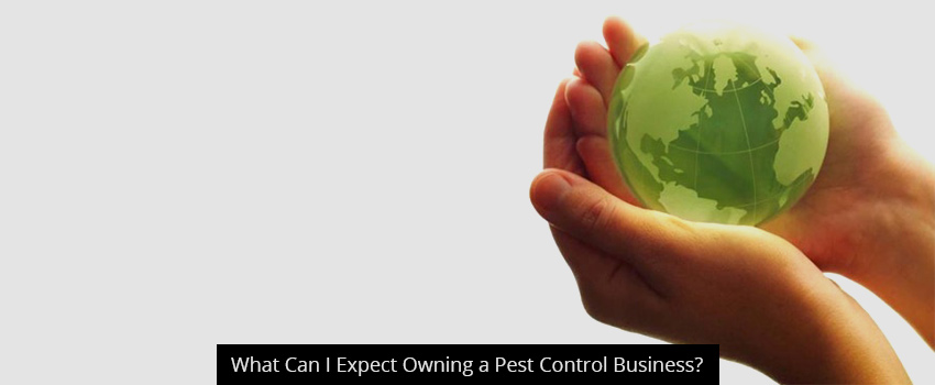 What Can I Expect Owning a Pest Control Business?