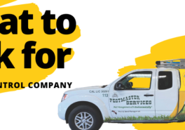 What To Look For In A Pest Control Franchise