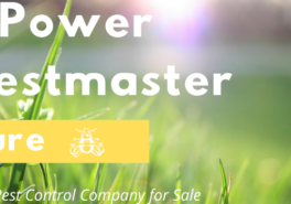 Evaluating A Pest Control Business For Sale: The Power Of Pestmaster Company Culture