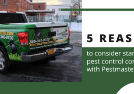 Fast Facts: 5 Reasons To Consider Starting A Pest Control Company With Pestmaster Services