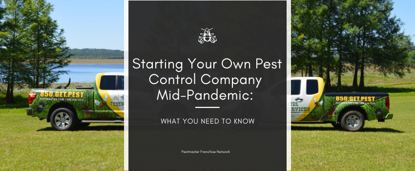 Starting Your Own Pest Control Company Mid-Pandemic: What You Need To Know
