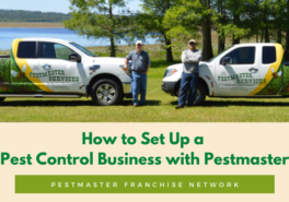 How To Set Up A Pest Control Business With Pestmaster