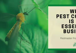 Why Pest Control Is An Essential Business