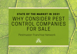 State Of The Market In 2021: Why Consider Pest Control Companies For Sale